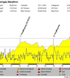 Rheingaumarathon.jpg