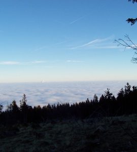 21345NEBEL2.JPG