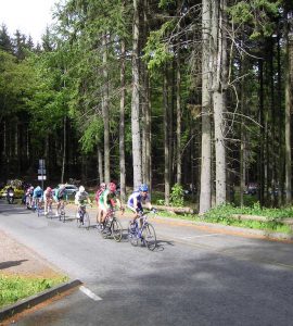 FF061501.JPG