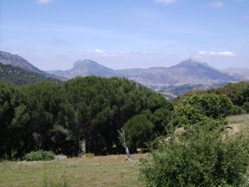 Cerro de la Herriza del Clavijo und Cerro de la Herriza de la Silleta