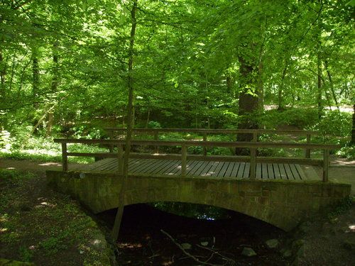 Brücke Stadtwald